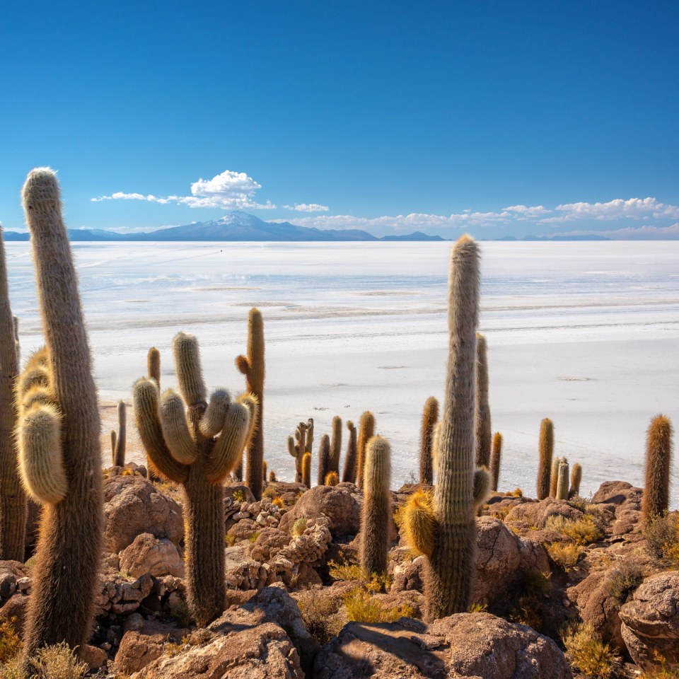 Trekkingabenteuer in den bolivianischen Anden